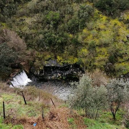 Casa Do Avo Alvaro - Refugio Do Rei Casal do Rei  Екстериор снимка