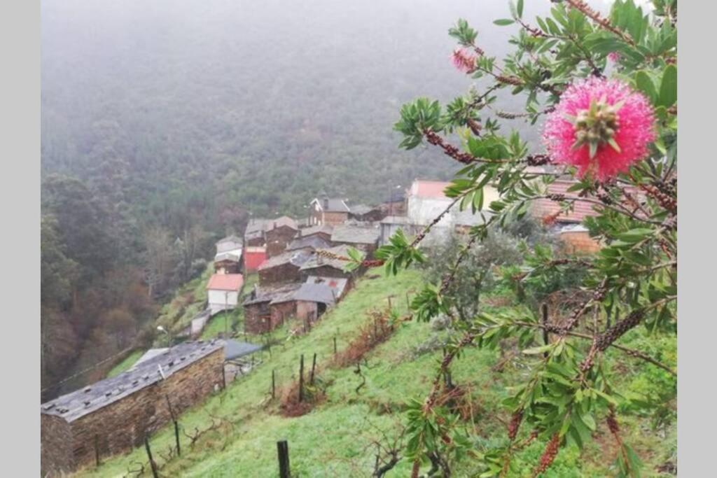 Casa Do Avo Alvaro - Refugio Do Rei Casal do Rei  Екстериор снимка