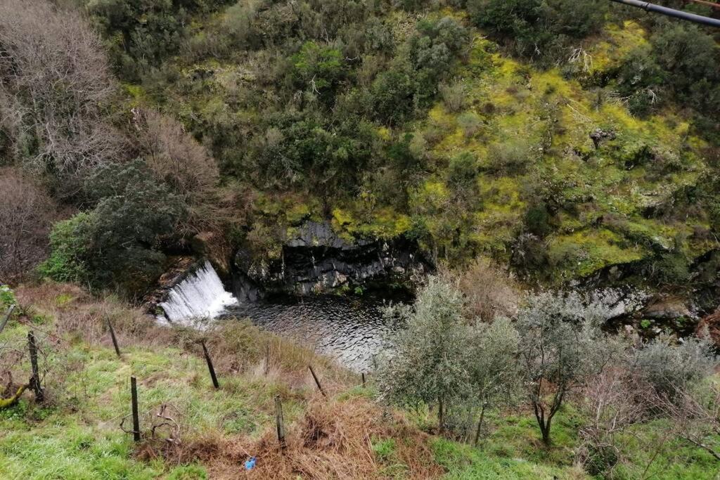 Casa Do Avo Alvaro - Refugio Do Rei Casal do Rei  Екстериор снимка